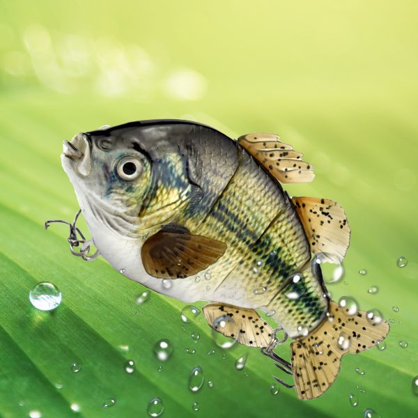 Apex Crappie & Tilapia 4-Section Swimbait – Realistic Soft Tail Panfish Lure